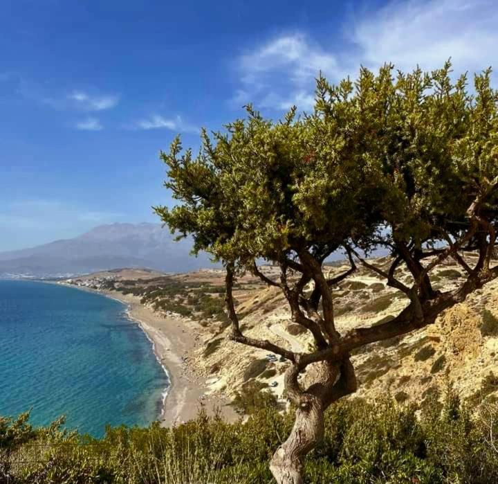 Ilios Kalamaki מראה חיצוני תמונה
